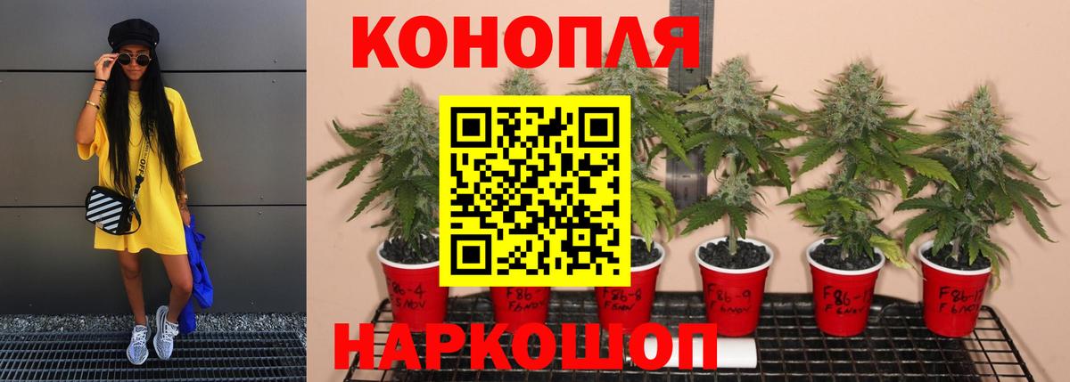 Конопля White Widow  Каннабис Ganja  Владикавказ  Вход с VPN  Канабис SATIVA & INDICA  Шишки марихуана MAZAR 